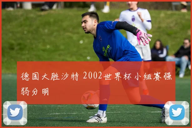 德国大胜沙特 2002世界杯小组赛强弱分明