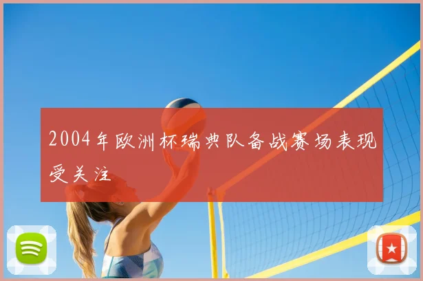 2004年欧洲杯瑞典队备战赛场表现受关注