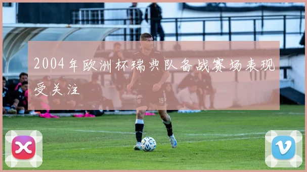 2004年欧洲杯瑞典队备战赛场表现受关注